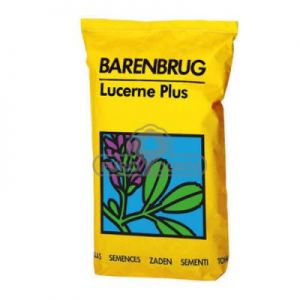 Barenbrug Lucerne Plus Yellow Jacket Trawa Pastewna Z Lucerną 15kg BG-12