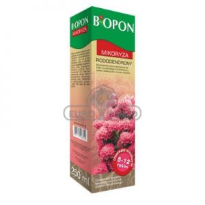 Biopon Mikoryza Do Rododendronów Szczepionka 250ml Proszek 1063